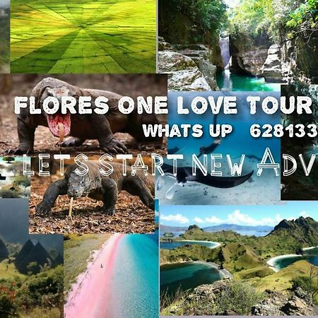 Flores One Love Homestay & Tours Labuan Bajo Exterior foto