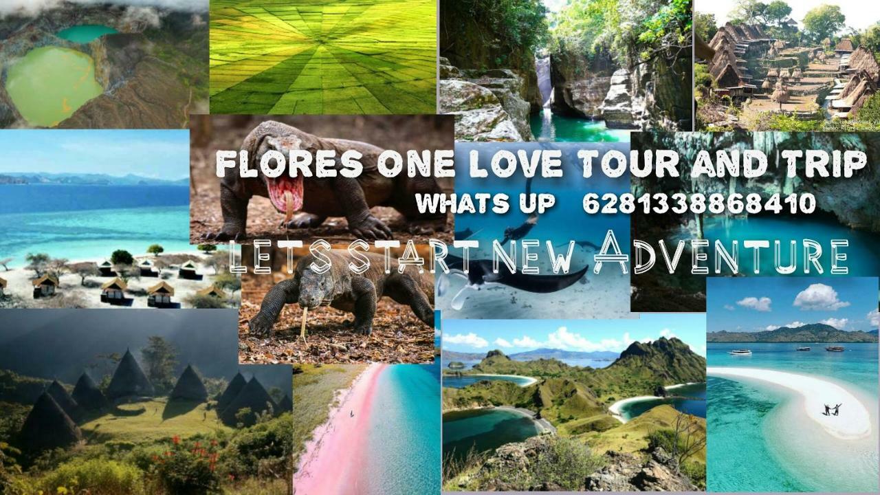 Flores One Love Homestay & Tours Labuan Bajo Exterior foto